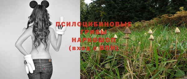 spice Пестово
