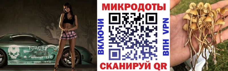 как найти закладки  Кондрово  Галлюциногенные грибы MAGIC MUSHROOMS 
